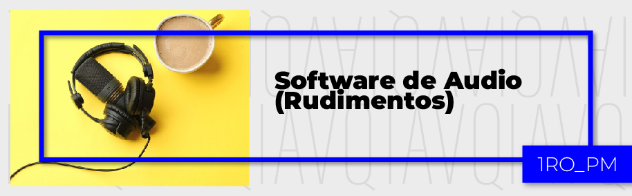 PA_24-25_PM_P_Software_de_Audio_(Rudimentos)