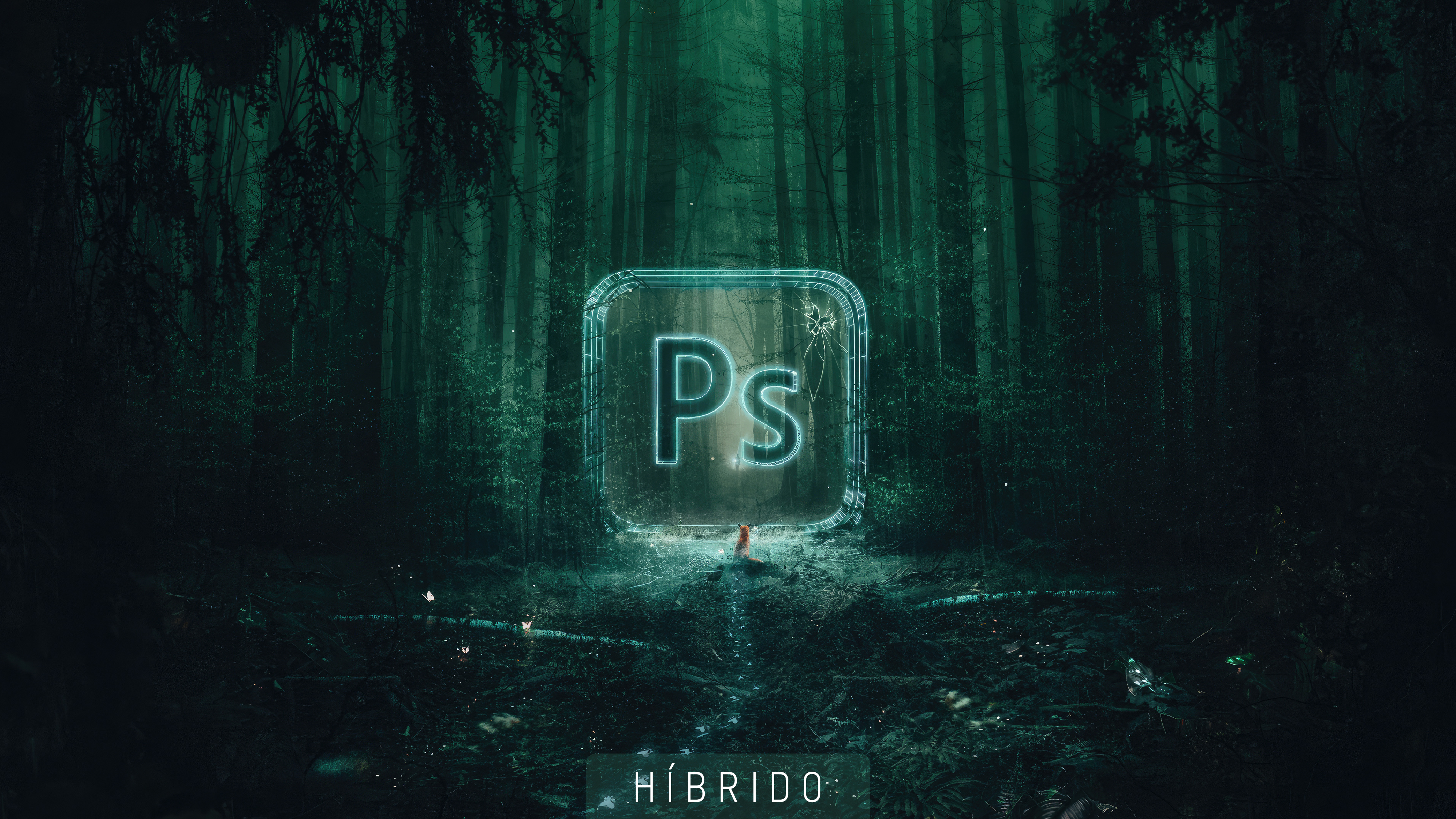 DISENO DIGITAL (PHOTOSHOP) - [IM-DG-AM-DDPH205-1602] - [1602]